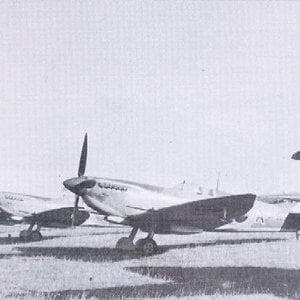 Supermarine Spitfire HF.Mk.VIII