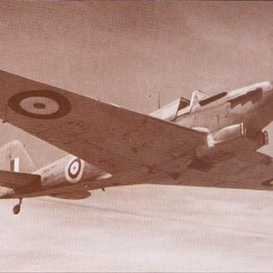 Fairey Fulmar Mk.II