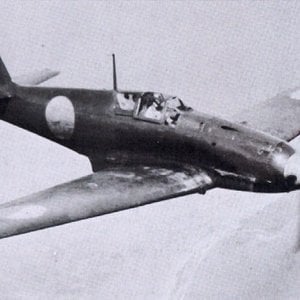 Kawasaki Ki-61-1b Hien (Swallow)