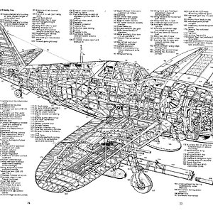 p47s1 | Aircraft of World War II - WW2Aircraft.net Forums
