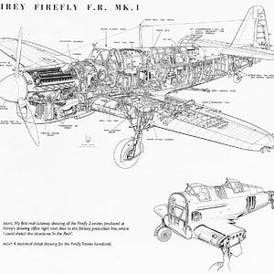 Fairey_Firefly