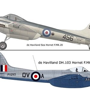 de Havilland D.H.103 Hornet