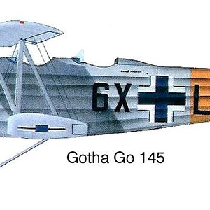 Gotha Go 145