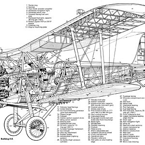 bristolbulldogiiawealra | Aircraft of World War II - WW2Aircraft.net Forums