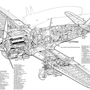 Fairey_Firefly_FR_MK-1 | Aircraft of World War II - WW2Aircraft.net Forums