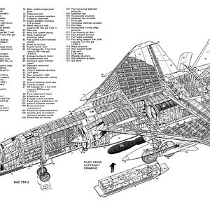 bactsr2aviagraphicarafy