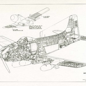 douglas-bt2d1dive