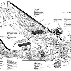 consolidatedpby5acatali