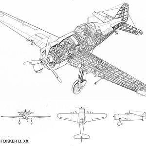 Fokker_D_XXI
