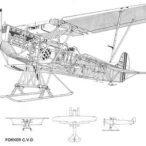 Fokker_C_V-D