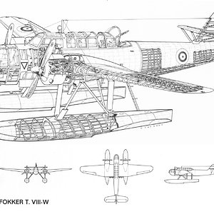Fokker_T_VIII-W