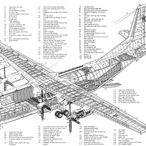 antonovan12bpcuba1961ai | Aircraft of World War II - WW2Aircraft.net Forums