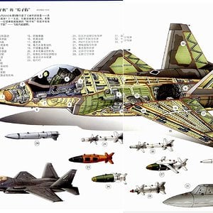 Chinese_J-31