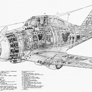 p35cut_big