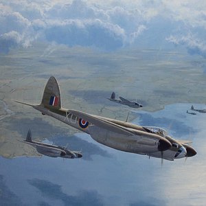 Mossie_Shallow_Dive_1_