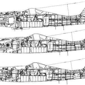 Ta_152C-1_H-1