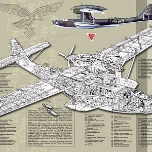 Dornier_Do18d