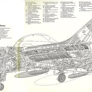 Douglas_F4d-1_Skyray