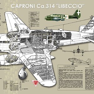 Caproni_Ca_314_Libeccio
