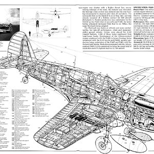 Curtiss_P-40_ | Aircraft of World War II - WW2Aircraft.net Forums