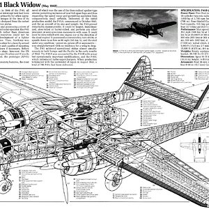 Northrop_P-61_Black_Widow