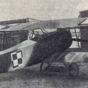 Fokker DVII_Polish