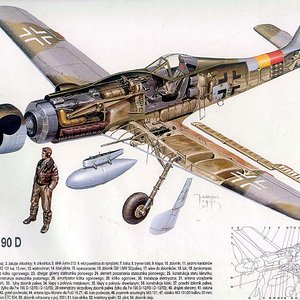 F-W_190d