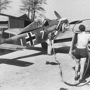 FW-1901