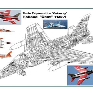 Folland_Gnat_T_1