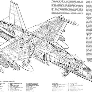 Northrop_P-530_Cobra