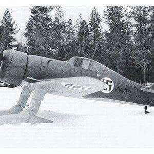 Fokker D.XXI