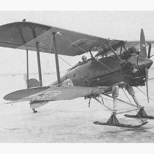 Gloster Gamecock