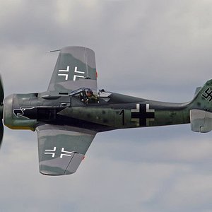 FW 190