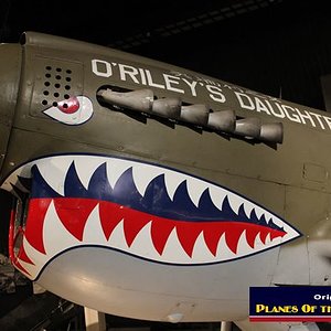 Curtis P-40N Warhawk "O'Riley's Daughter"