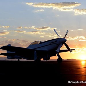 Mustang at sunrise