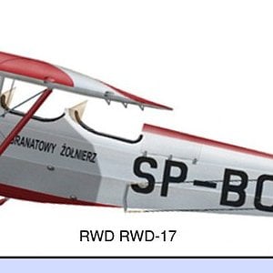 RWD RWD-17