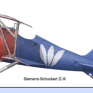 Siemens-Schuckert D.III