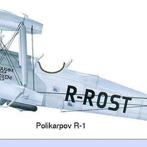 Polikarpov R-1