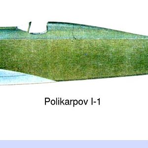 Polikarpov I-1