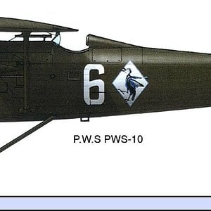 P.W.S PWS-10