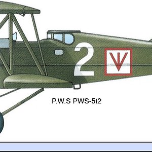 P.W.S PWS-5t2