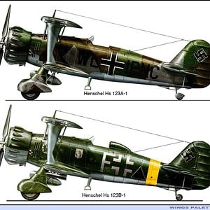 Henschel Hs 123