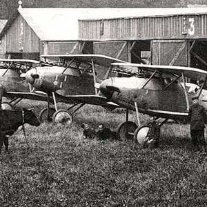 Albatros D.III and D.V of the Jasta 5 at Boistrancourt July 1917