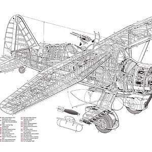 Westland Lysander | Aircraft of World War II - WW2Aircraft.net Forums