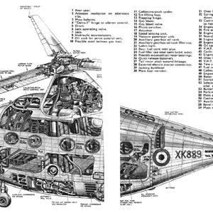 percival_p-74