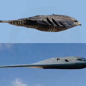 B-2-by-morther-nature-comparison