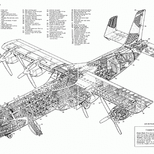 CL-246_cutaway_small