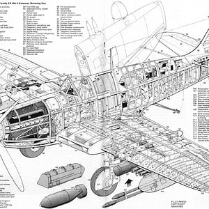 Fairey-Firefly-Cutaway-Drawing