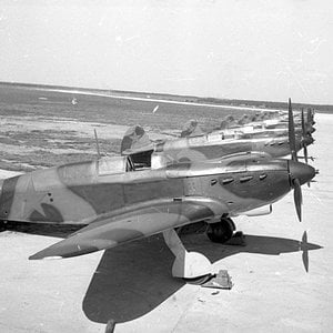 Yak-7B