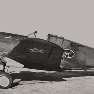 Curtiss P-40 of the 33rd Fighter Squadron 1940/1941